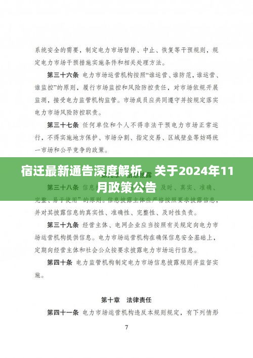 宿迁最新通告深度解析，关于2024年11月政策公告