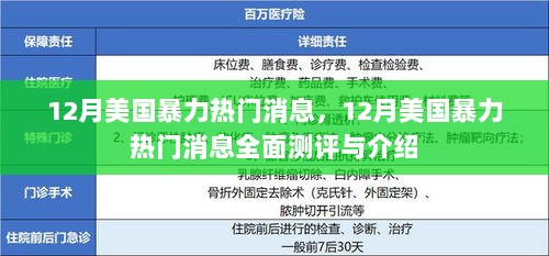 美国暴力事件热点解析，全面测评与深度介绍