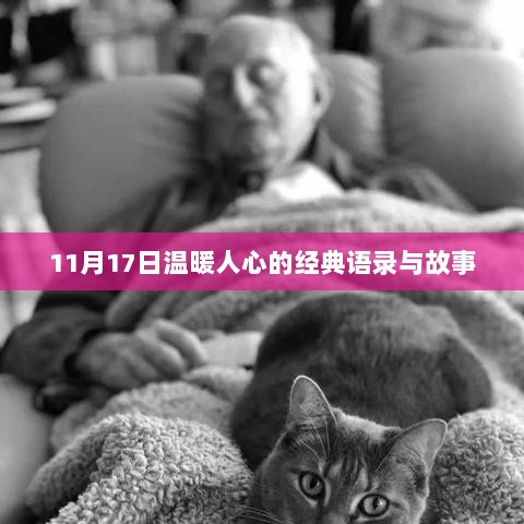 11月17日温暖人心的经典语录与故事