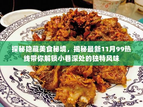 探秘隐藏美食秘境，揭秘最新11月99热线带你解锁小巷深处的独特风味