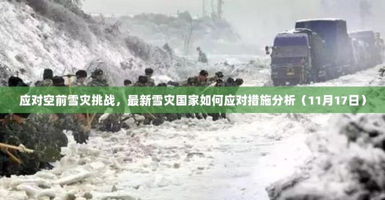 应对空前雪灾挑战，最新雪灾国家如何应对措施分析（11月17日）