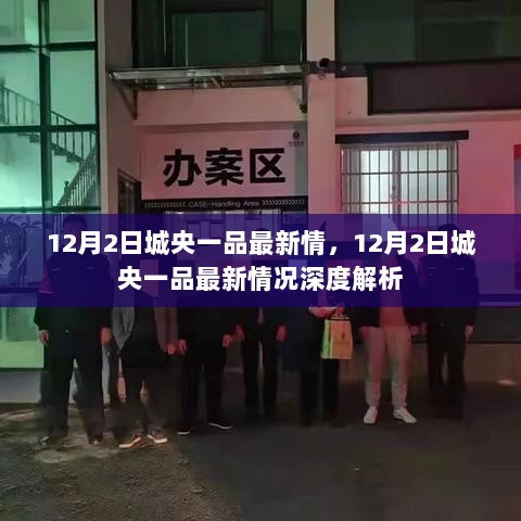 12月2日城央一品最新情报，深度解析最新动态