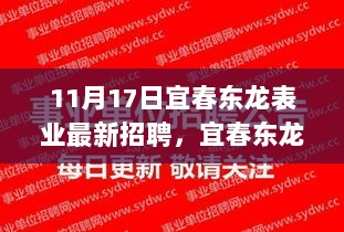 11月17日宜春东龙表业最新招聘，宜春东龙表业最新招聘启事——探寻制表工艺的无限魅力与职业前景