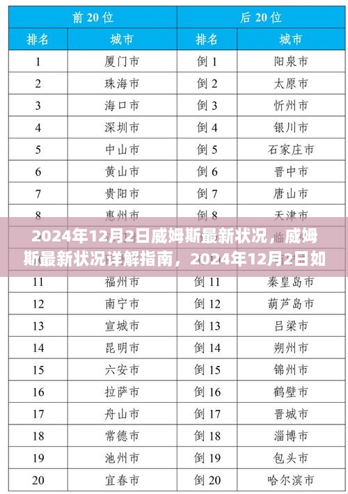 2024年12月4日 第17页