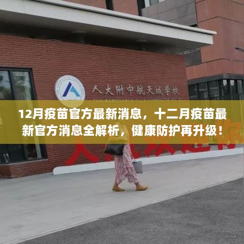 十二月疫苗最新官方消息全解析，健康防护升级指南