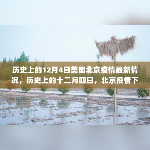 历史上的十二月四日，北京疫情下的自然疗愈之旅与内心宁静探寻