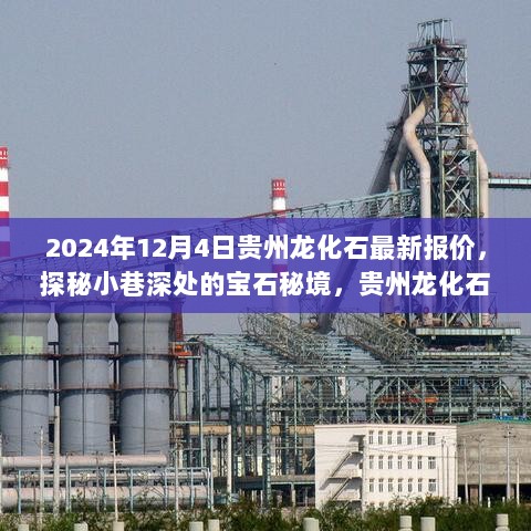 贵州龙化石最新报价揭秘，探秘宝石秘境小巷深处的宝藏价值（2024年）