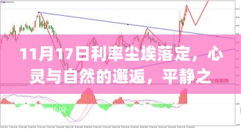 11月17日利率尘埃落定，心灵与自然的邂逅，平静之旅开启