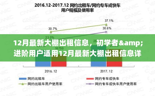 12月最新大棚出租信息详解，适合初学者与进阶用户的步骤指南