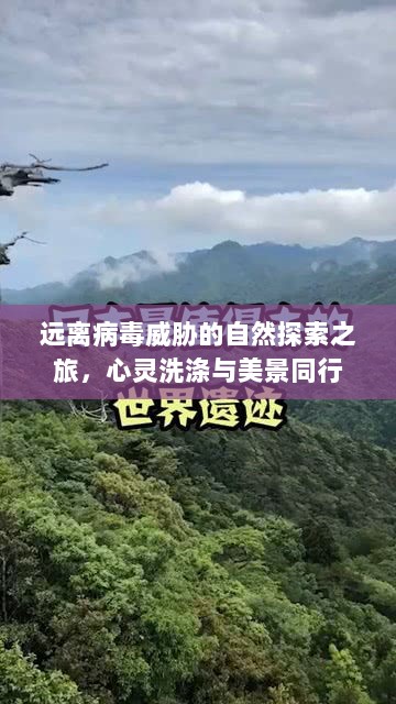 远离病毒威胁的自然探索之旅，心灵洗涤与美景同行