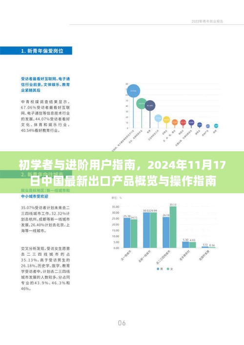 初学者与进阶用户指南，2024年11月17日中国最新出口产品概览与操作指南