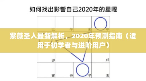 2024年12月5日 第48页