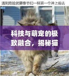 科技与萌宠的极致融合，揭秘猫咪大战争最新破解版风险与体验