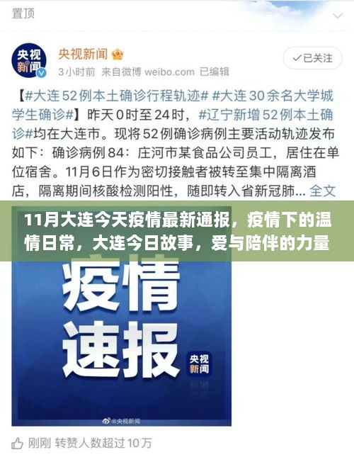 11月大连今天疫情最新通报，疫情下的温情日常，大连今日故事，爱与陪伴的力量