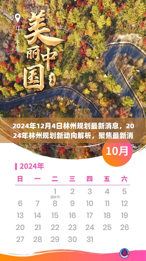 2024年12月5日 第41页