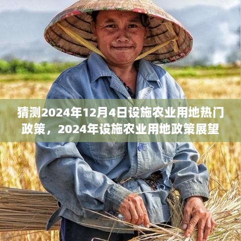 2024年设施农业用地政策展望与深度评测，热门政策趋势及影响分析标题建议，设施农业用地政策展望，2024年趋势与深度解析。