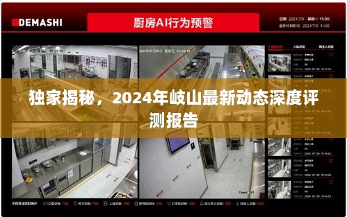 独家揭秘，2024年岐山最新动态深度评测报告