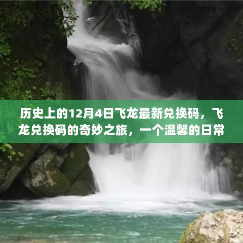 飞龙兑换码的温馨日常，历史上的兑换奇迹之旅