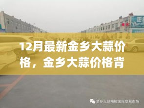 金乡大蒜最新价格揭秘，励志故事中的变化与自信成就之路