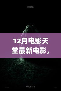 12月电影天堂，探索自然秘境，启程内心宁静之旅