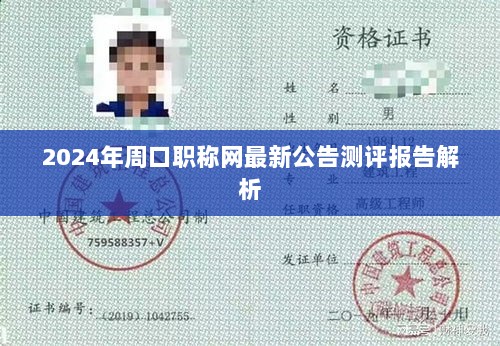 2024年周口职称网最新公告测评报告解析