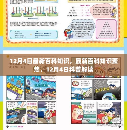 12月4日最新百科知识聚焦，科普解读全新呈现