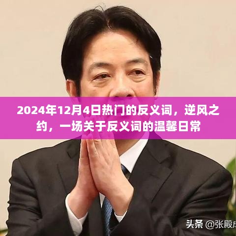 逆风之约，一场关于反义词的温馨日常之旅（2024年12月4日热门）