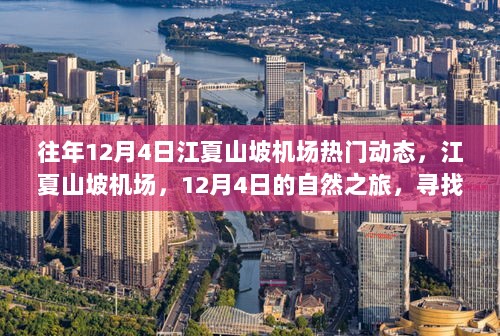 江夏山坡机场12月4日，心灵之旅与飞行喜悦的交融点