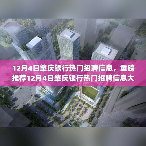 12月4日肇庆银行热门招聘信息揭秘，金融职业发展机遇不容错过