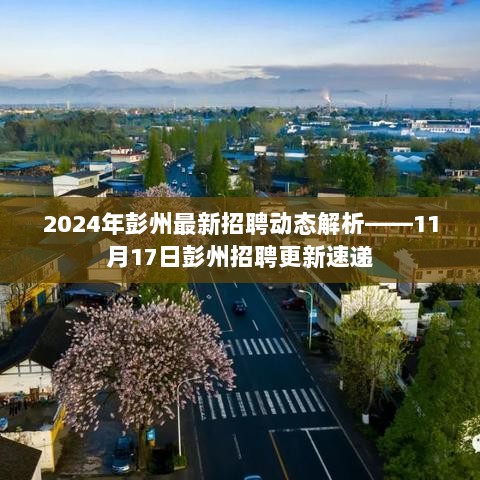 2024年彭州最新招聘动态解析——11月17日彭州招聘更新速递