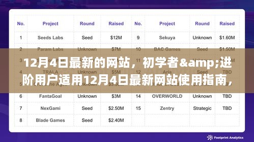 初学者与进阶用户指南，最新网站使用指南及任务完成与技能学习攻略