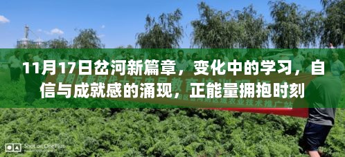 11月17日岔河新篇章，变化中的学习，自信与成就感的涌现，正能量拥抱时刻