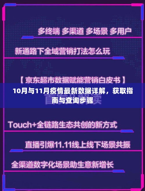 10月与11月疫情最新数据详解，获取指南与查询步骤