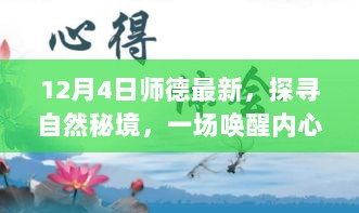 探寻自然秘境，唤醒内心的旅程——师德新解下的心灵之旅