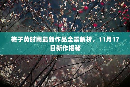 梅子黄时雨最新作品全景解析，11月17日新作揭秘