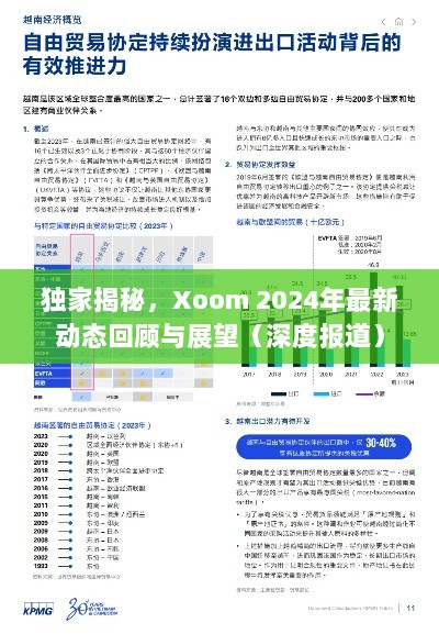 独家揭秘，Xoom 2024年最新动态回顾与展望（深度报道）