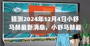 小舒马赫最新消息预测，展望与解析，揭秘2024年12月4日的动态与未来趋势