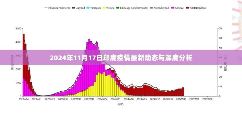 2024年11月17日印度疫情最新动态与深度分析