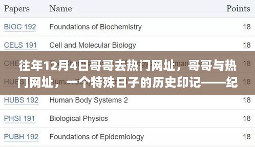 纪念往年12月4日，哥哥与热门网址的辉煌时刻历史印记