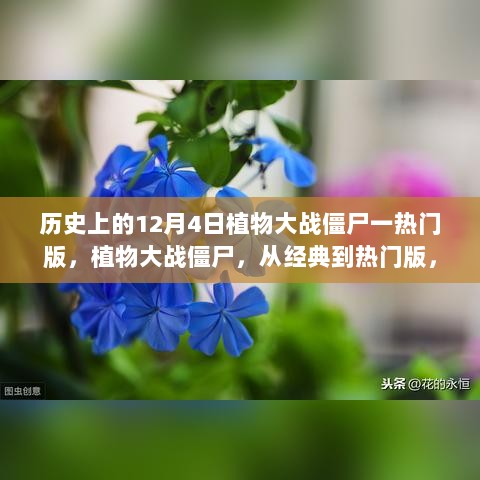 植物大战僵尸，从经典到热门版的学习成长之旅，回顾历史上的十二月四日变迁与自信成长之路