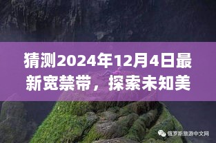 心灵之旅，探索未知美景，预测宽禁带新纪元的心灵之旅（2024年12月4日）