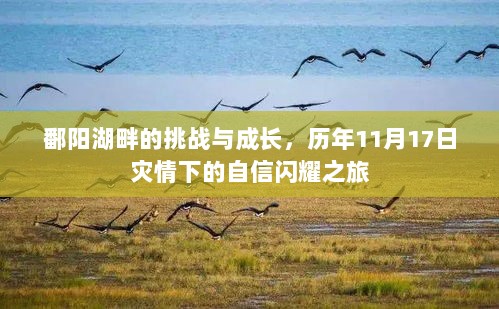 鄱阳湖畔的挑战与成长，历年11月17日灾情下的自信闪耀之旅