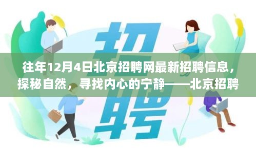 北京招聘网最新招聘信息，探秘自然，启程心灵之旅，寻找内心的宁静