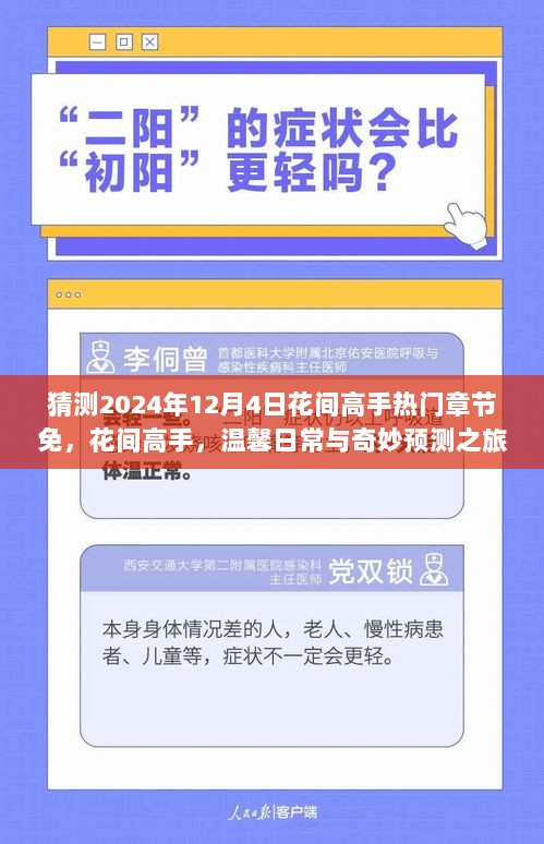 猜测2024年12月4日花间高手热门章节免，花间高手，温馨日常与奇妙预测之旅