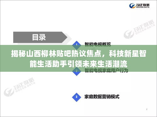 揭秘山西柳林贴吧热议焦点，科技新星智能生活助手引领未来生活潮流