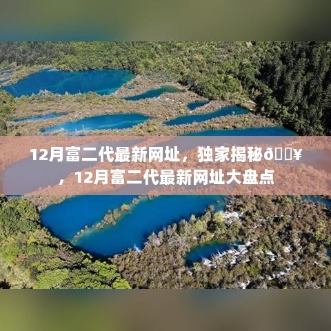 独家揭秘，揭秘盈利行业行为的最新动态——富二代行业网站大盘点