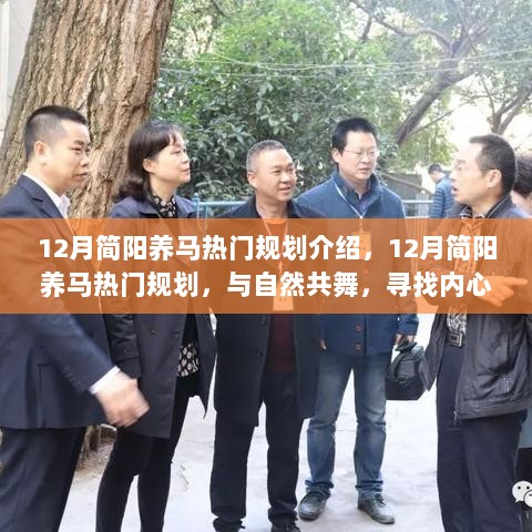 12月简阳养马热门规划，与自然和谐共舞，探寻内心宁静之旅