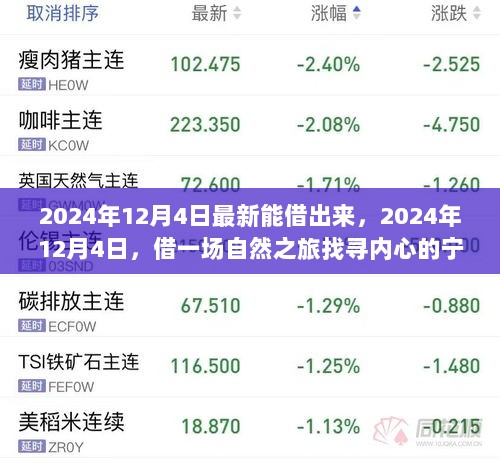 借一场自然之旅找寻内心的宁静，最新可借日期2024年12月4日