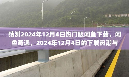 闲鱼奇遇，揭秘下载热潮背后的温馨家园，预测2024年12月4日热门版下载趋势