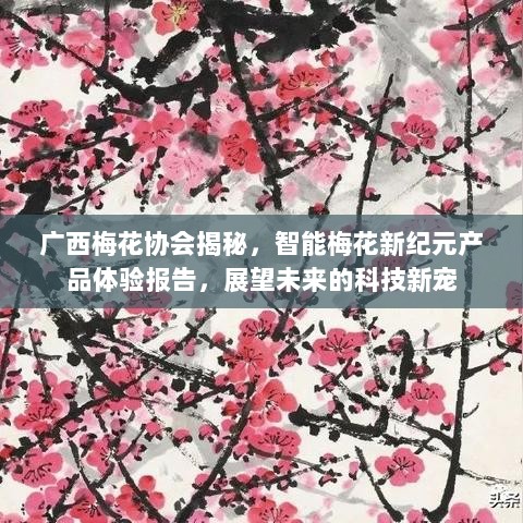 广西梅花协会揭秘，智能梅花新纪元产品体验报告，展望未来的科技新宠